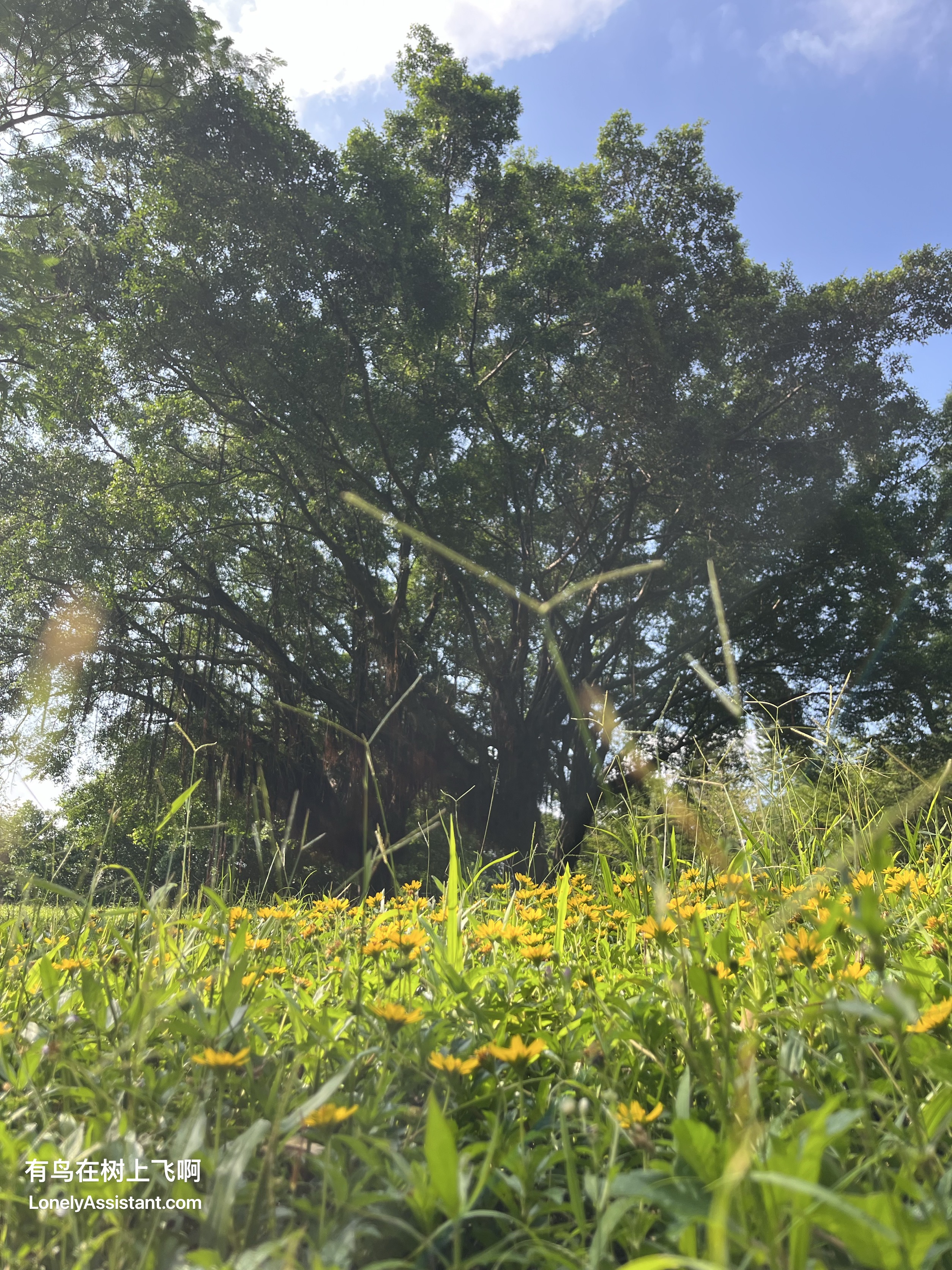 /media/images-phone/2025/10/11/2025-10-11 09.06.58.jpeg